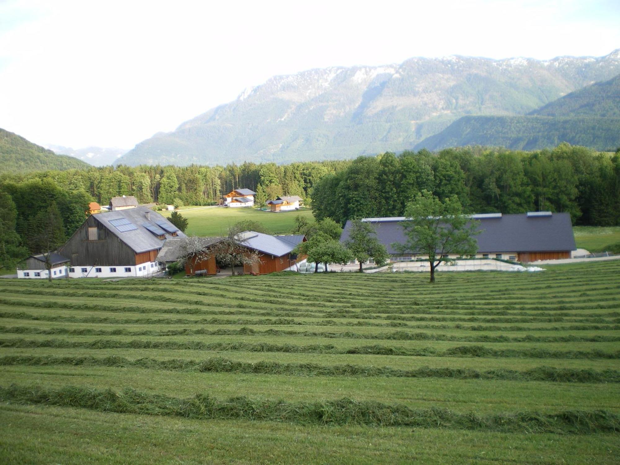 Russbachbauer Villa Sankt Wolfgang im Salzkammergut Luaran gambar