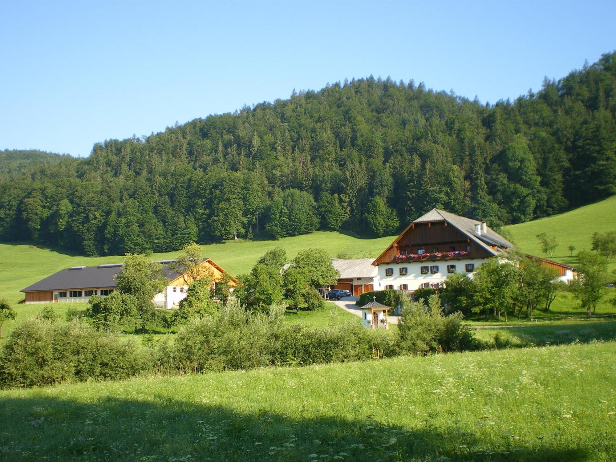 Russbachbauer Villa Sankt Wolfgang im Salzkammergut Luaran gambar