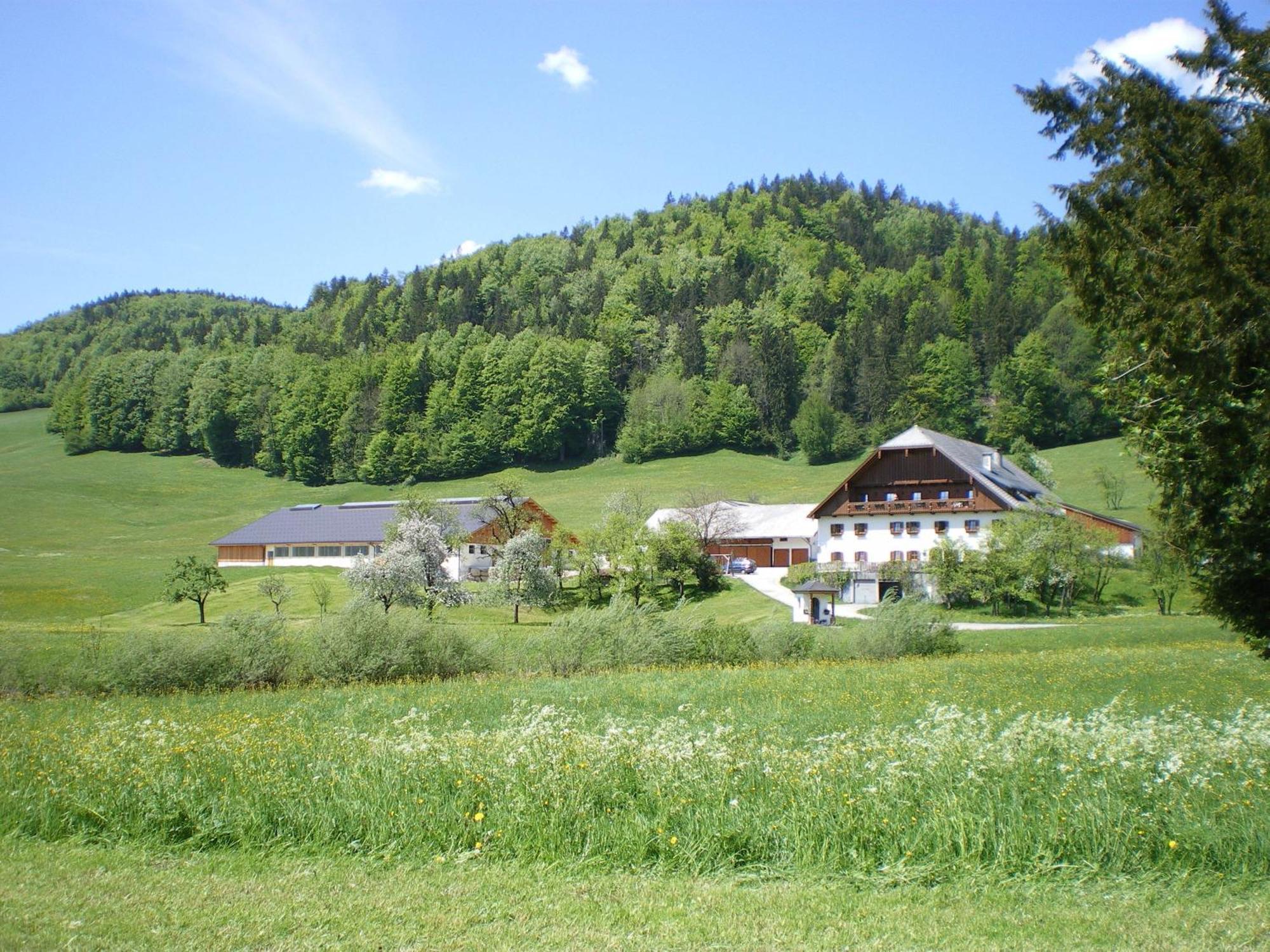 Russbachbauer Villa Sankt Wolfgang im Salzkammergut Luaran gambar