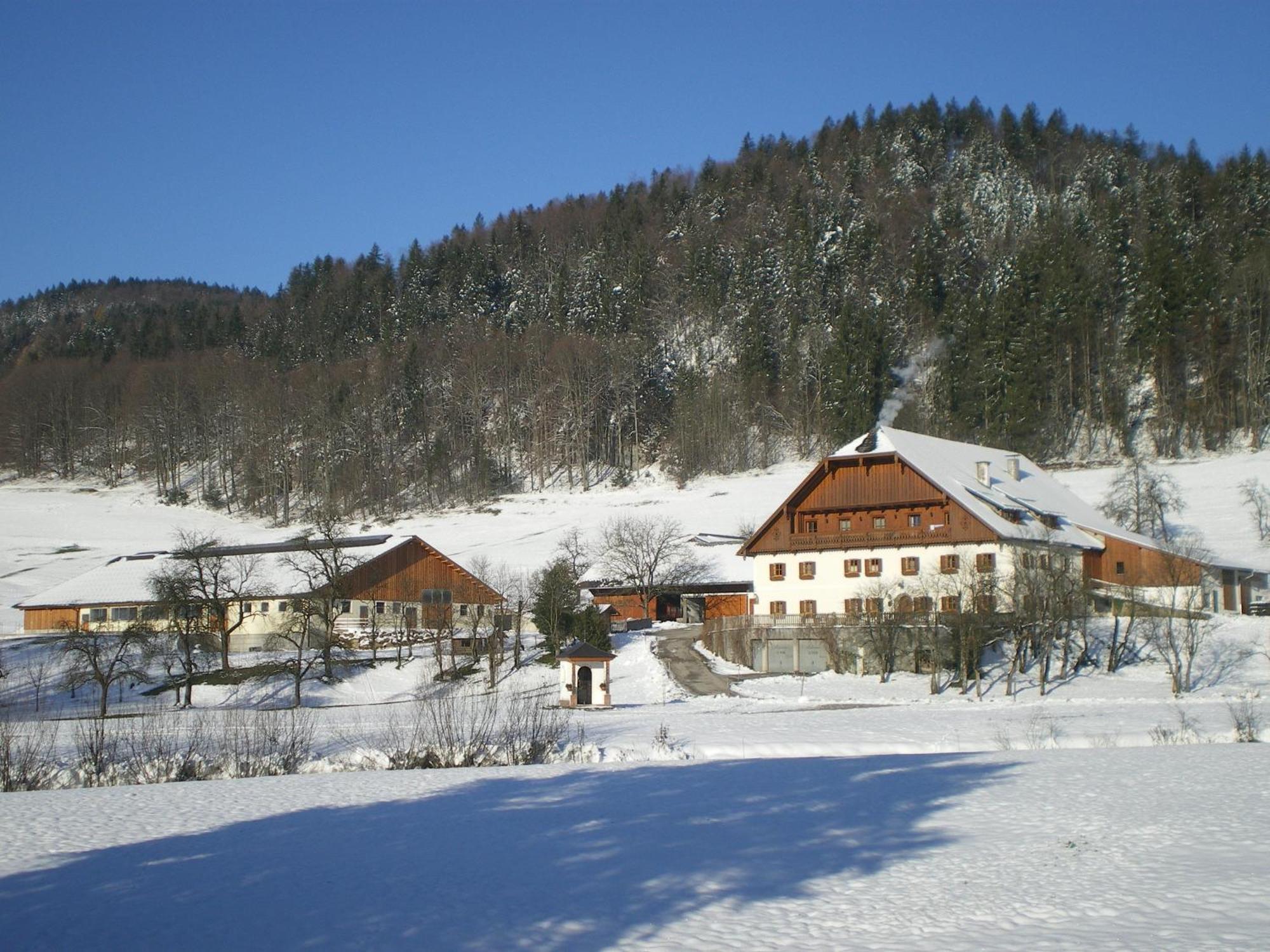 Russbachbauer Villa Sankt Wolfgang im Salzkammergut Luaran gambar