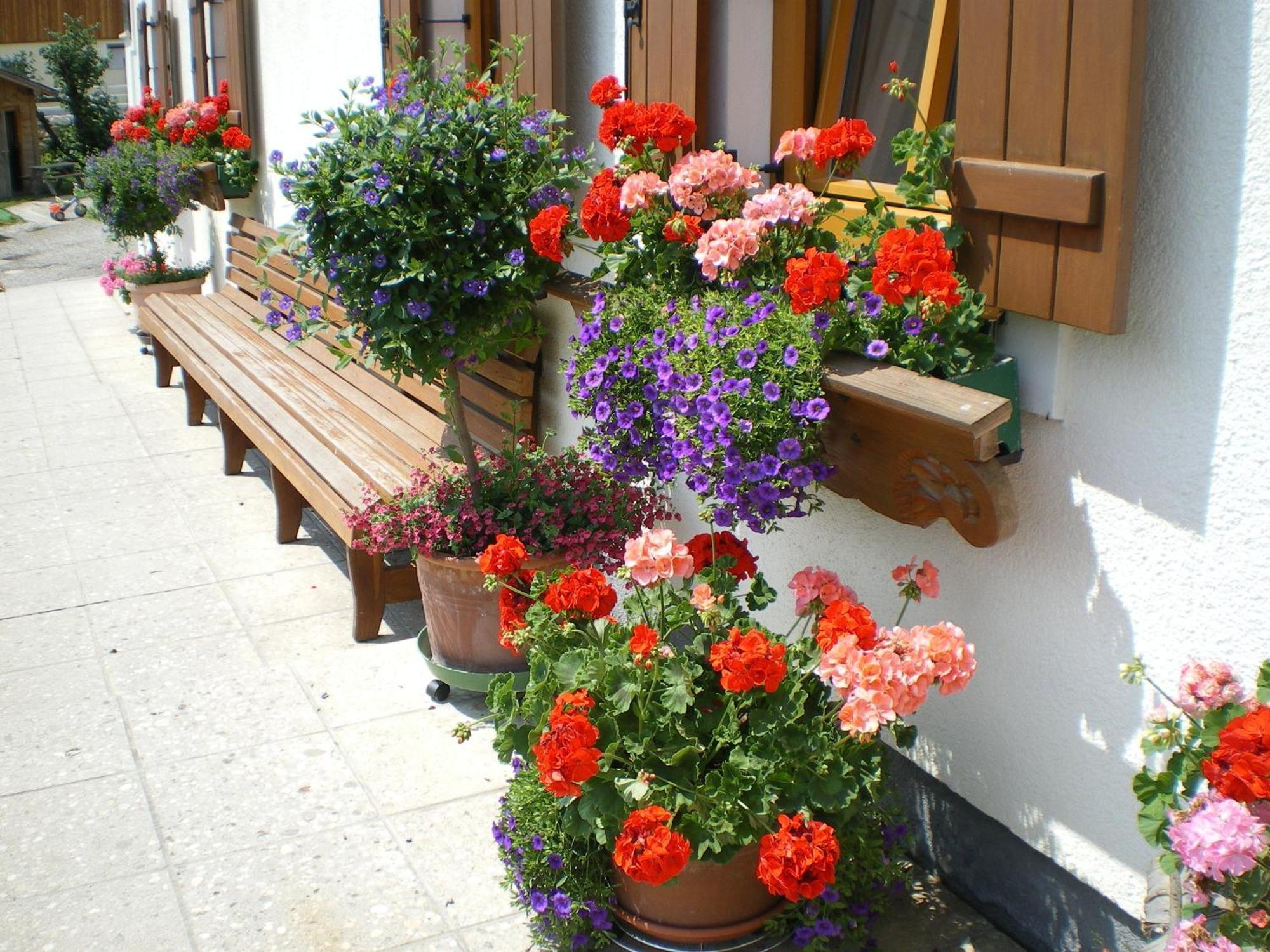 Russbachbauer Villa Sankt Wolfgang im Salzkammergut Luaran gambar